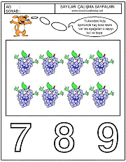 okul öncesi sayılar çalışma sayfaları